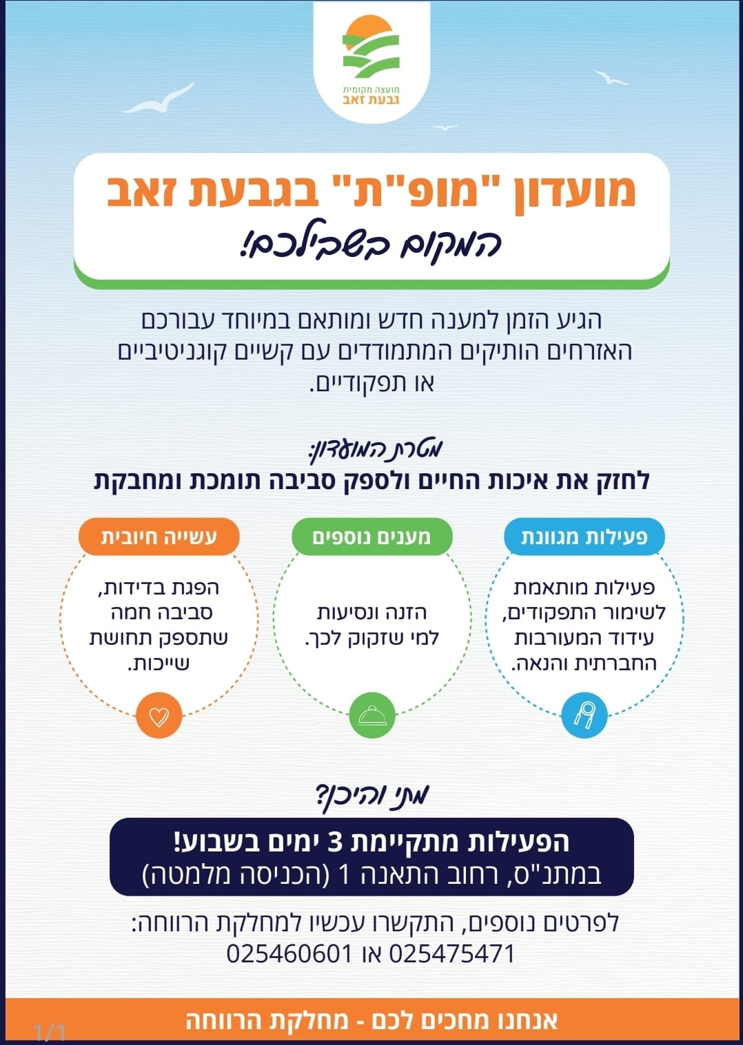 פלייר